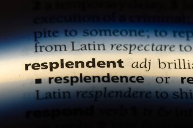 bir sözlüğü'ndeki şaşaalı sözcüğü. şaşaalı kavramı.