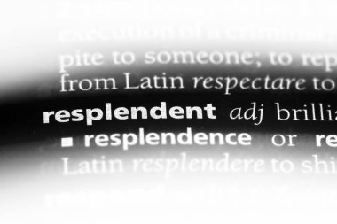 bir sözlüğü'ndeki şaşaalı sözcüğü. şaşaalı kavramı.