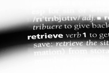 bir sözlüğü'ndeki sözcüğü almak. konsept almak.