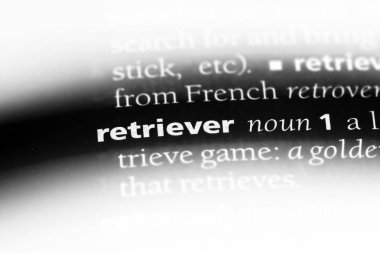 av köpeği Word'de bir sözlük. geri almak kavramı.