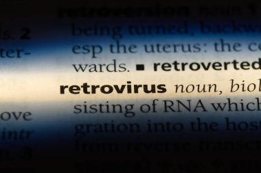 Retrovirüs Word'de bir sözlük. Retrovirüs kavramı.