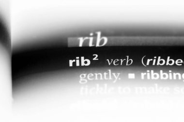 bir sözlüğü'ndeki sözcüğü kaburga. kaburga kavramı.