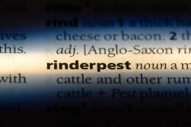 rinderpest sözcük sözlüğe. rinderpest kavramı.