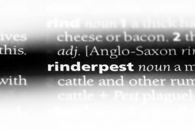 rinderpest sözcük sözlüğe. rinderpest kavramı.
