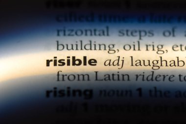 Gülme tek kelimeyle bir sözlük. risable kavramı.