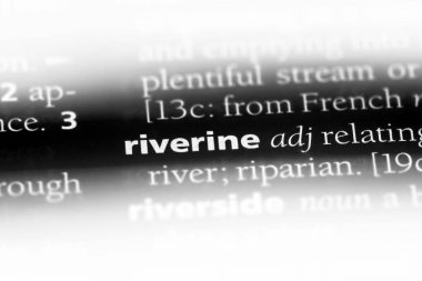 nehir tek kelimeyle bir sözlük. nehir kavramı.