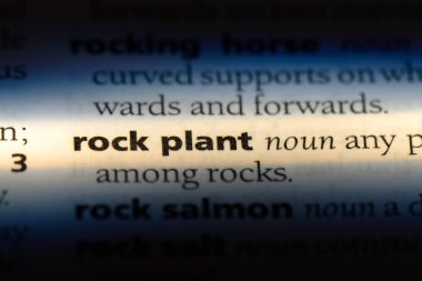 Rock bitki Word'de bir sözlük. Rock bitki kavramı.