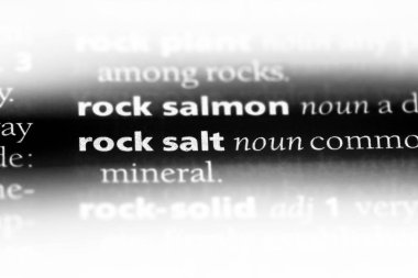 kaya tuzu Word'de bir sözlük. kaya tuzu kavramı.