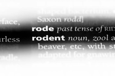 kemirgen tek kelimeyle bir sözlük. kemirgen kavramı.