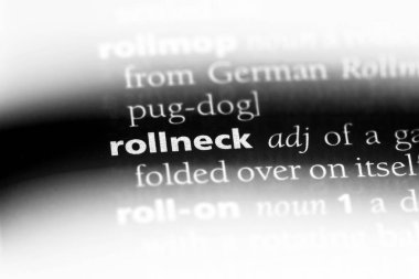 rollneck sözcük sözlüğe. rollneck kavramı.