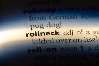 rollneck sözcük sözlüğe. rollneck kavramı.
