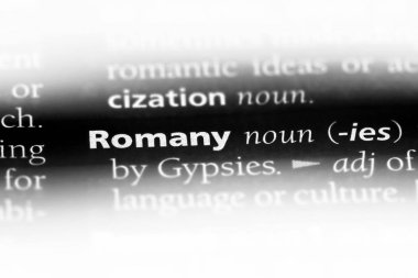 Çingenece sözcük sözlüğe. roman kavramı.