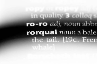 Rorqual sözcük sözlüğe. Rorqual kavramı.