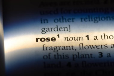 bir sözlüğü'ndeki gül sözcüğü. gül kavramı.