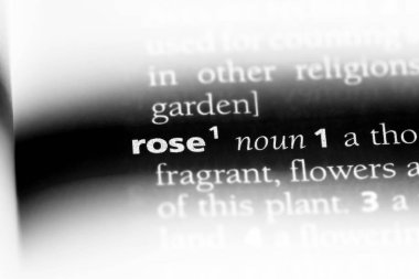 bir sözlüğü'ndeki gül sözcüğü. gül kavramı.