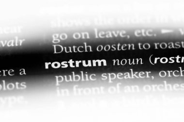 kürsü Word'de bir sözlük. kürsü kavramı.