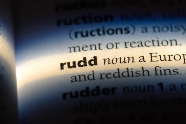 Rudd bir sözlük tek kelimeyle. Rudd kavramı.