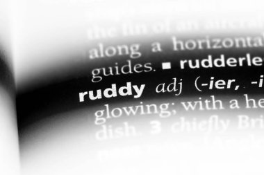 Kahrolası tek kelimeyle bir sözlük. Kırmızı kavramı.