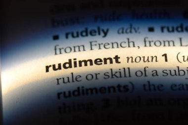 Rudiment sözcük sözlüğe. Rudiment kavramı.