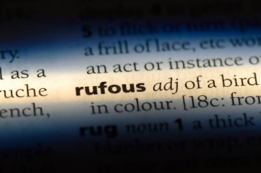 kızılca tek kelimeyle bir sözlük. kızılca kavramı.