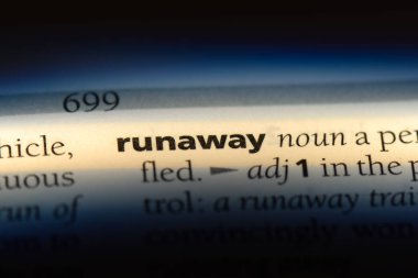 kaçak tek kelimeyle bir sözlük. kaçak kavramı.