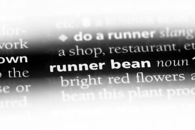Runner bean Word'de bir sözlük. Runner bean kavramı.