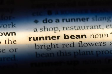 Runner bean Word'de bir sözlük. Runner bean kavramı.