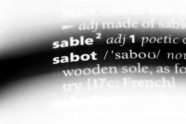 Sabot Word'de bir sözlük. Sabot kavramı.