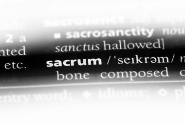 sakrum Word'de bir sözlük. sakrum kavramı.