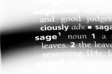 adaçayı kelime sözlüğe. adaçayı kavramı.