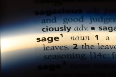 adaçayı kelime sözlüğe. adaçayı kavramı.