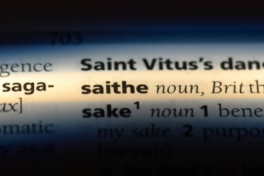 saithe sözcük sözlüğe. saithe kavramı.