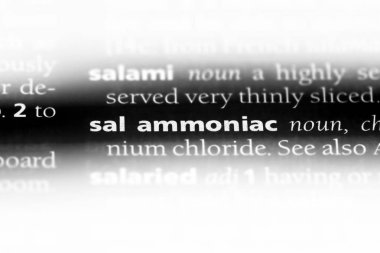 Sal amonyak Word'de bir sözlük. Sal amonyak kavramı.