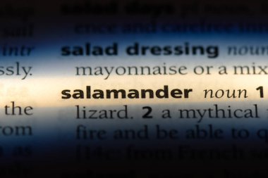 semender Word'de bir sözlük. semender kavramı.