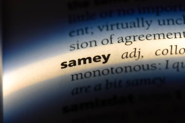 bir sözlüğü'ndeki samey sözcüğü. samey kavramı.