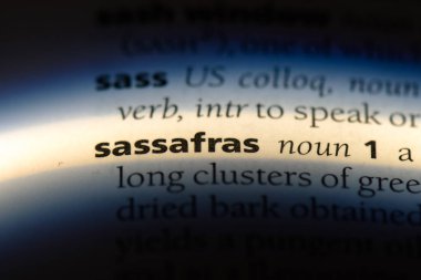 Sassafras Word'de bir sözlük. Sassafras kavramı.