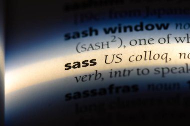 bir sözlüğü'ndeki sözcüğü küstahlık. Sass kavramı.