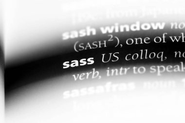 bir sözlüğü'ndeki sözcüğü küstahlık. Sass kavramı.