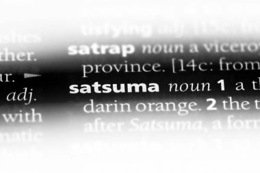 Satsuma Word'de bir sözlük. Satsuma kavramı.
