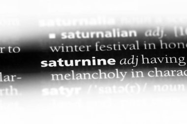 bir sözlüğü'ndeki suratsız sözcüğü. suratsız kavramı.