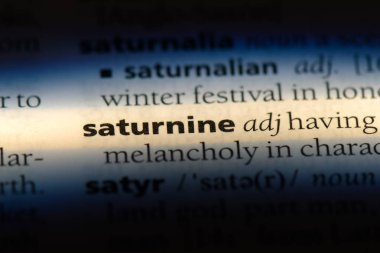 bir sözlüğü'ndeki suratsız sözcüğü. suratsız kavramı.