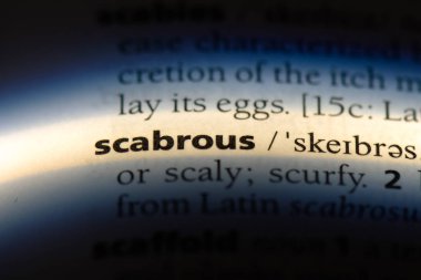 Güverteye tek kelimeyle bir sözlük. Güverteye kavramı.