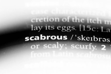 Güverteye tek kelimeyle bir sözlük. Güverteye kavramı.