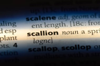 yeşil soğan Word'de bir sözlük. yeşil soğan kavramı.