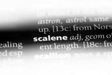 bir sözlüğü'ndeki çeşitkenar sözcüğü. çeşitkenar kavramı.