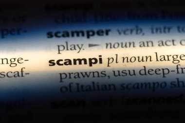 bir sözlüğü'ndeki Scampi sözcüğü. Scampi kavramı.