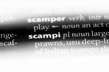 bir sözlüğü'ndeki Scampi sözcüğü. Scampi kavramı.