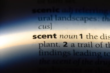 koku Word'de bir sözlük. koku kavramı.