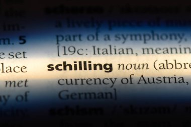 Schilling Word'de bir sözlük. Schilling kavramı.