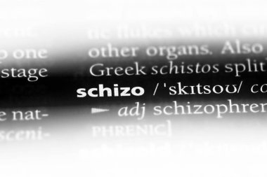 şizofren tek kelimeyle bir sözlük. şizofren kavramı.